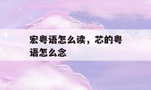 宏粤语怎么读，芯的粤语怎么念