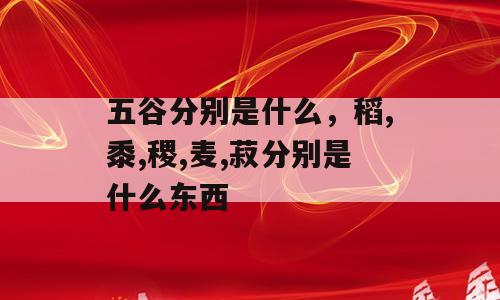 五谷分别是什么，稻,黍,稷,麦,菽分别是什么东西