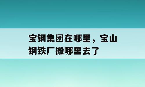 宝钢集团在哪里，宝山钢铁厂搬哪里去了