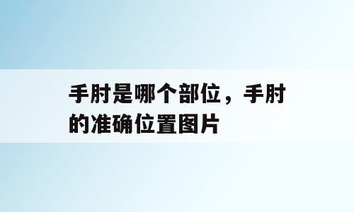 手肘是哪个部位，手肘的准确位置图片