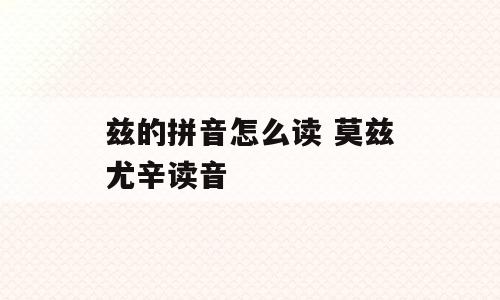 兹的拼音怎么读 莫兹尤辛读音