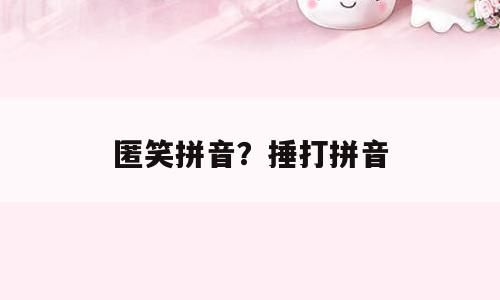 匿笑拼音？捶打拼音