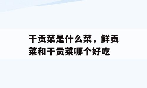 干贡菜是什么菜，鲜贡菜和干贡菜哪个好吃