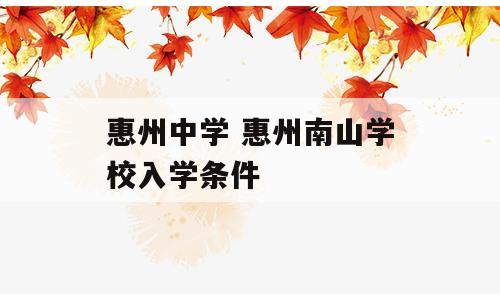 惠州中学 惠州南山学校入学条件