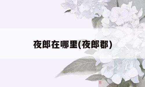 夜郎在哪里(夜郎郡)