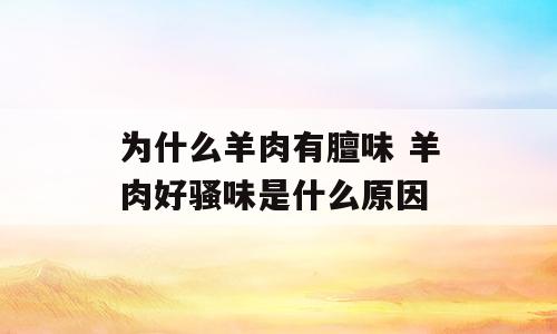 为什么羊肉有膻味 羊肉好骚味是什么原因