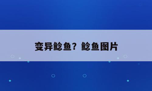 变异鲶鱼？鲶鱼图片