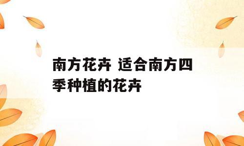 南方花卉 适合南方四季种植的花卉