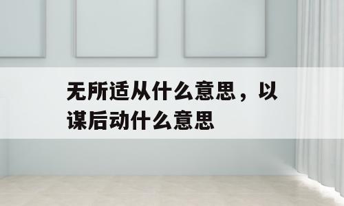 无所适从什么意思，以谋后动什么意思