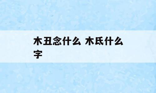 木丑念什么 木氐什么字