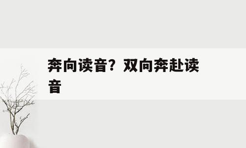 奔向读音？双向奔赴读音