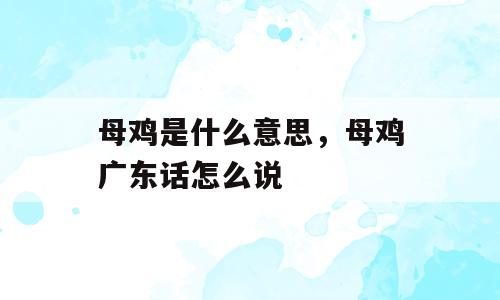 母鸡是什么意思，母鸡广东话怎么说