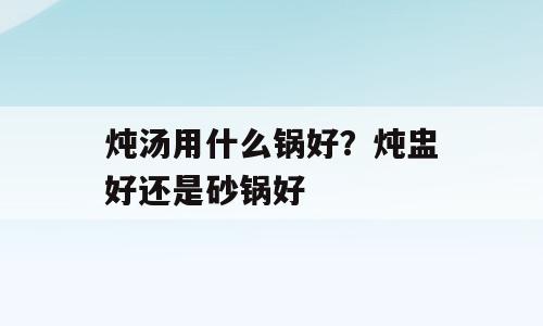 炖汤用什么锅好？炖盅好还是砂锅好