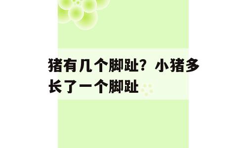 猪有几个脚趾？小猪多长了一个脚趾