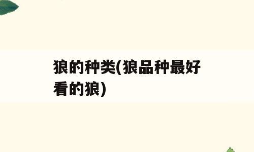 狼的种类(狼品种最好看的狼)