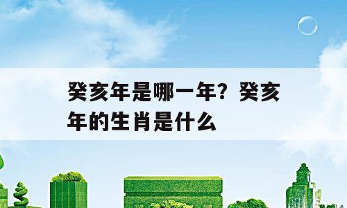 癸亥年是哪一年？癸亥年的生肖是什么