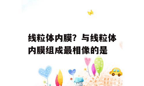 线粒体内膜？与线粒体内膜组成最相像的是