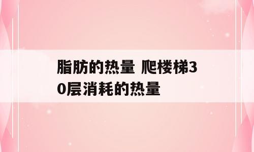 脂肪的热量 爬楼梯30层消耗的热量