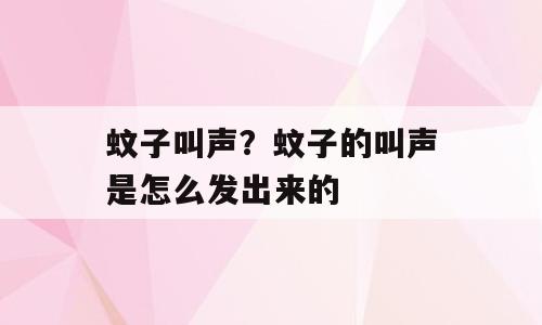蚊子叫声？蚊子的叫声是怎么发出来的