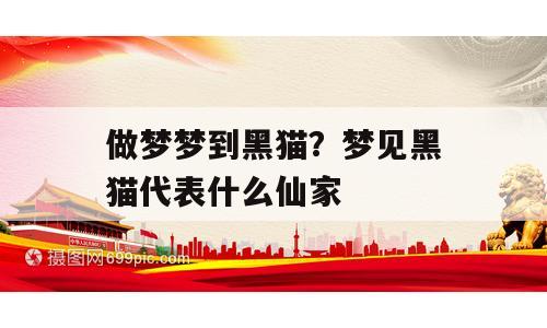 做梦梦到黑猫？梦见黑猫代表什么仙家