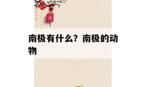 南极有什么？南极的动物