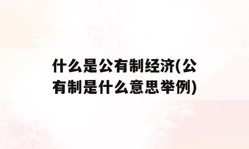 什么是公有制经济(公有制是什么意思举例)