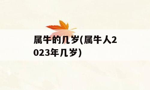 属牛的几岁(属牛人2023年几岁)