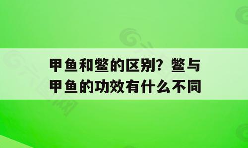 甲鱼和鳖的区别？鳖与甲鱼的功效有什么不同