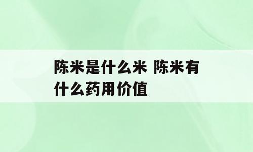 陈米是什么米 陈米有什么药用价值