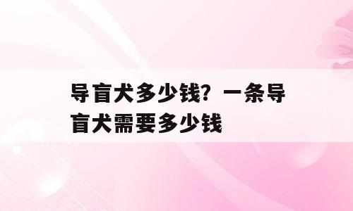 导盲犬多少钱？一条导盲犬需要多少钱