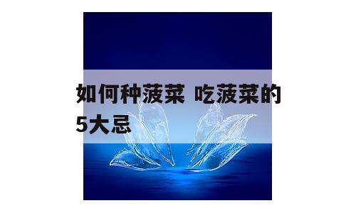 如何种菠菜 吃菠菜的5大忌