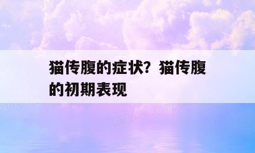 猫传腹的症状？猫传腹的初期表现