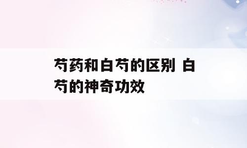 芍药和白芍的区别 白芍的神奇功效