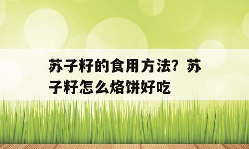 苏子籽的食用方法？苏子籽怎么烙饼好吃