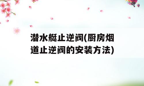 潜水艇止逆阀(厨房烟道止逆阀的安装方法)