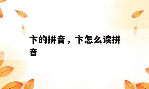 卞的拼音，卞怎么读拼音