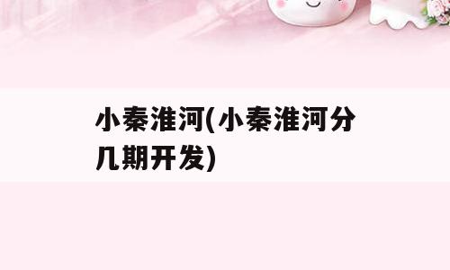 小秦淮河(小秦淮河分几期开发)