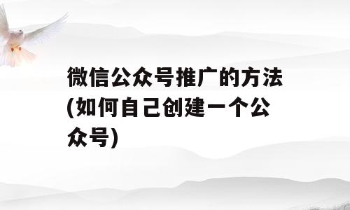 微信公众号推广的方法(如何自己创建一个公众号)