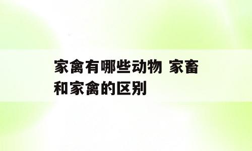 家禽有哪些动物 家畜和家禽的区别