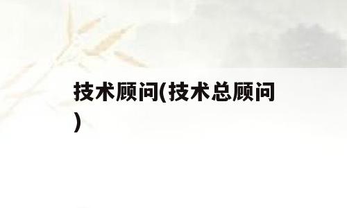 技术顾问(技术总顾问)