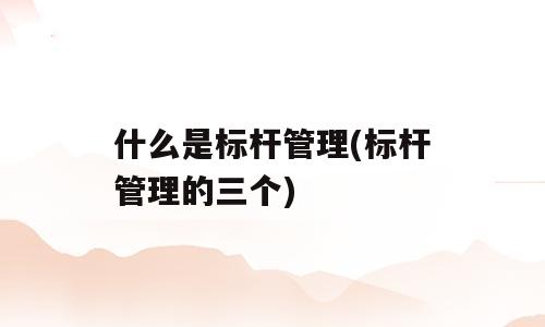 什么是标杆管理(标杆管理的三个)