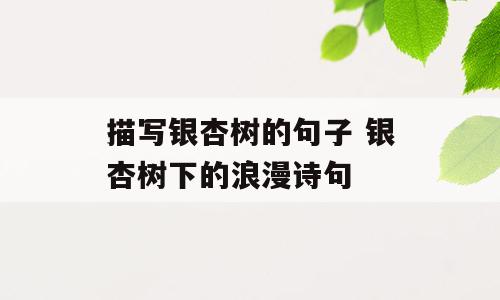 描写银杏树的句子 银杏树下的浪漫诗句
