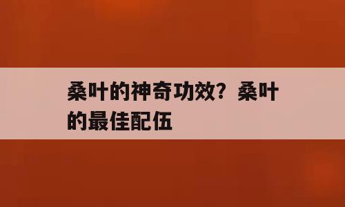 桑叶的神奇功效？桑叶的最佳配伍