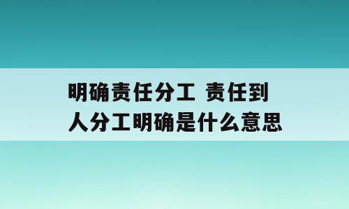 明确责任分工 责任到人分工明确是什么意思