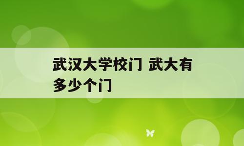 武汉大学校门 武大有多少个门