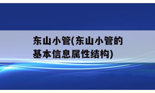 东山小管(东山小管的基本信息属性结构)
