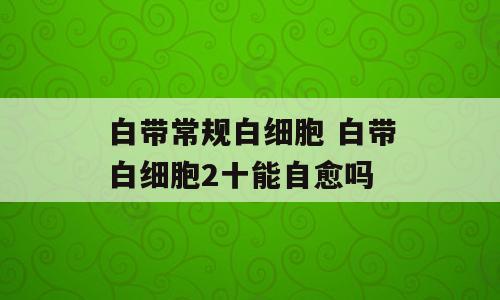 白带常规白细胞 白带白细胞2十能自愈吗