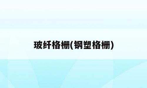 玻纤格栅(钢塑格栅)