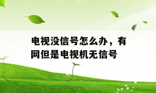 电视没信号怎么办，有网但是电视机无信号