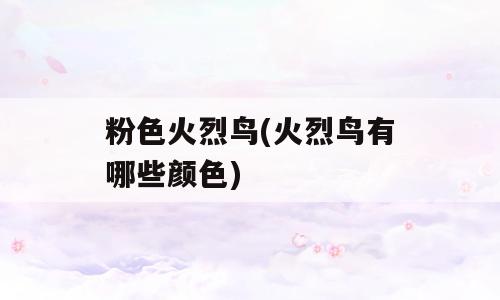 粉色火烈鸟(火烈鸟有哪些颜色)